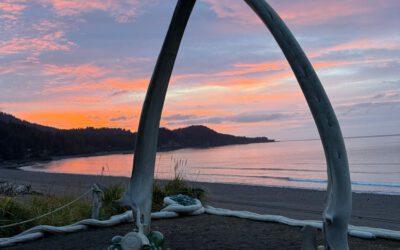 A Childhood Wish Fulfilled after A Discovery in the Bering Sea and A Deep Respect for Whales